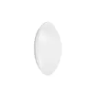 Ledvance Surface Circolare 250 13W 830 920lm Bianca IP44 | Luce Calda